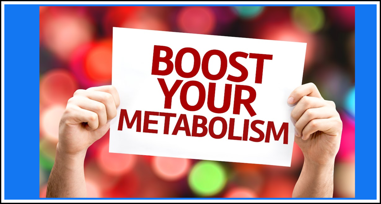 Boost your metabolism with protein
